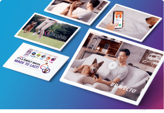 Multi-channel campaign for Bravecto.